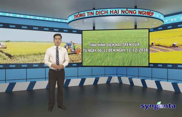 Thông tin dịch hại Nông nghiệp 12-12-2018