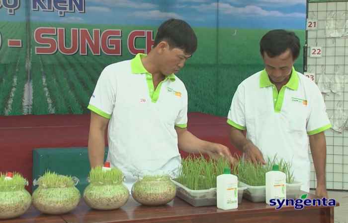 Thông tin dịch hại Nông nghiệp 13-09-2017