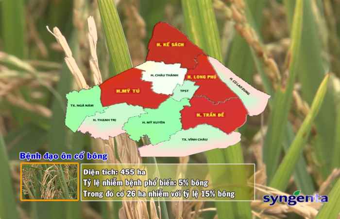 Thông tin dịch hại Nông nghiệp 14-03-2018