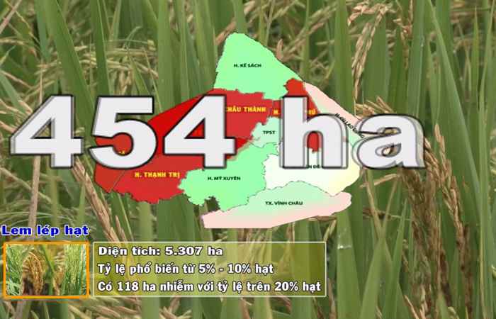 Thông tin dịch hại Nông nghiệp 17-08-2017