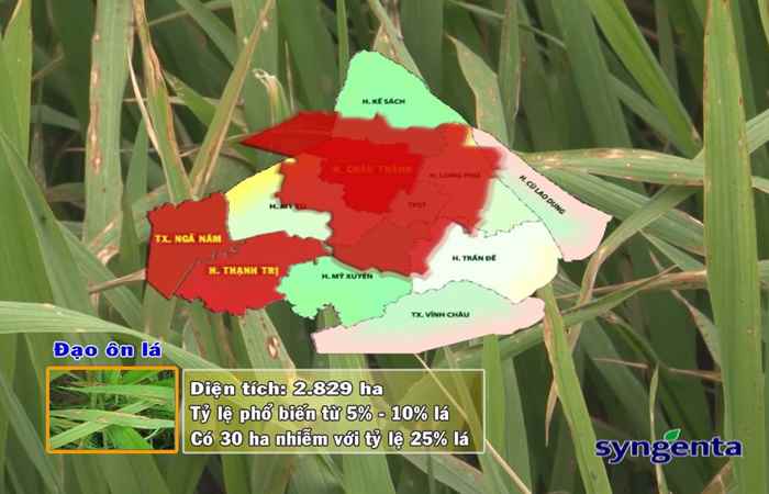 Thông tin dịch hại Nông nghiệp 21-02-2018