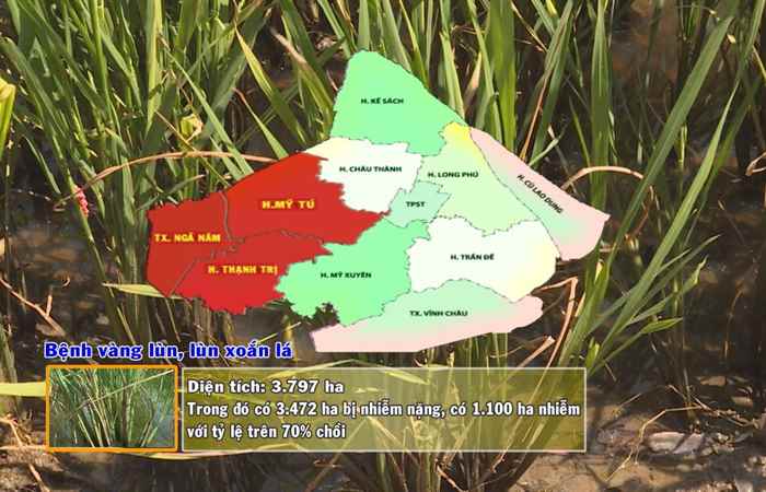 Thông tin dịch hại Nông nghiệp 21-03-2018