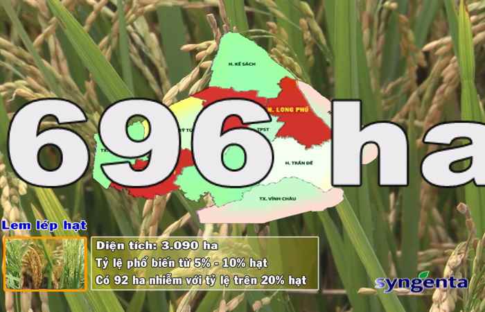 Thông tin dịch hại Nông nghiệp 23-08-2017