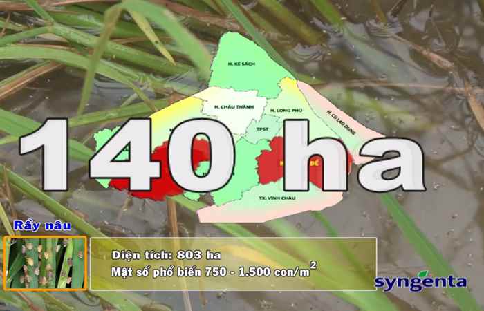 Thông tin dịch hại Nông nghiệp 22-11-2017