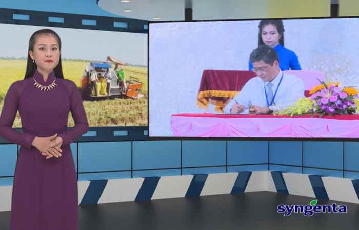 Thông tin dịch hại Nông nghiệp 27-06-2018