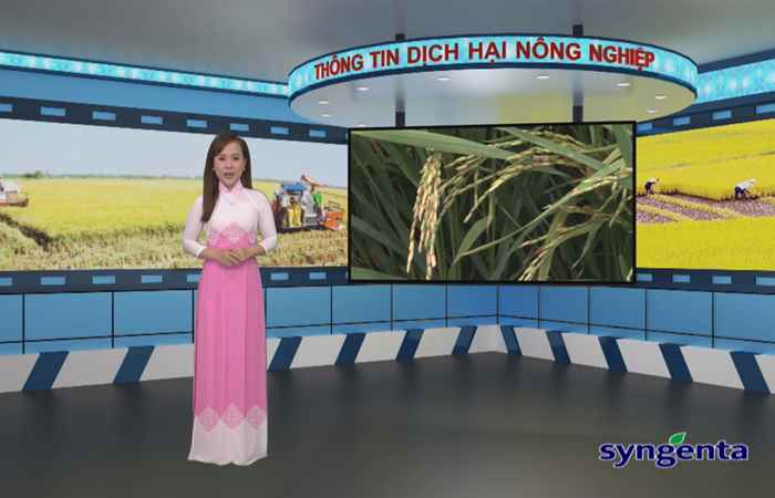 Thông tin dịch hại Nông nghiệp 28-02-2018