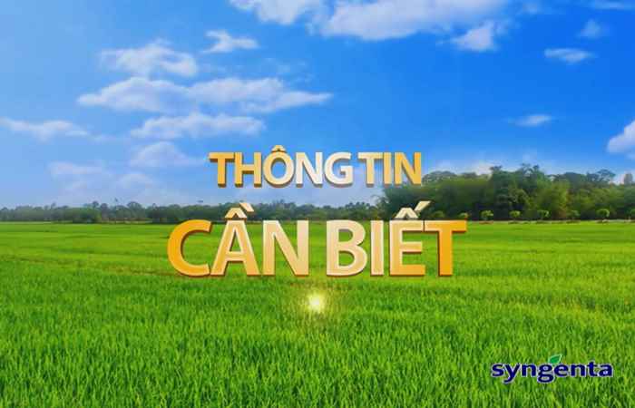 Thông tin dịch hại Nông nghiệp 28-11-2018