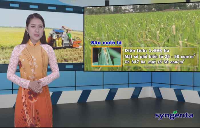 Thông tin dịch hại Nông nghiệp 31-05-2017