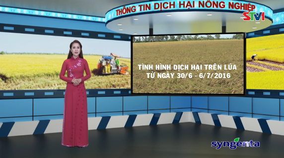 Thông tin dịch hại Nông nghiệp 06-07-2016