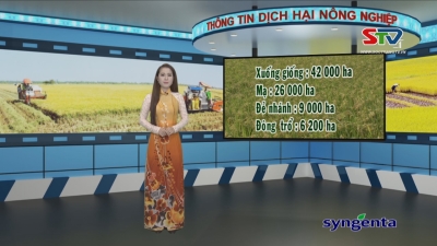 Thông tin dịch hại Nông nghiệp 01-06-2016