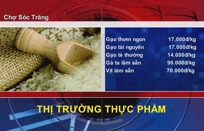 Thông tin Dịch vụ Thị trường (08-01-2022)