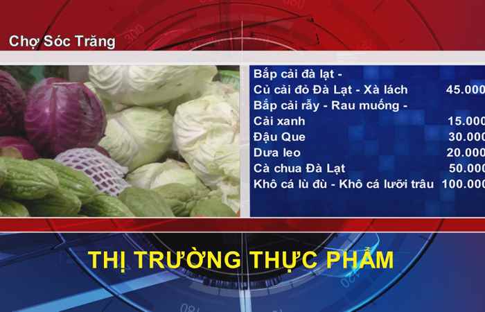 Thông tin Dịch vụ Thị trường (11-02-2022)