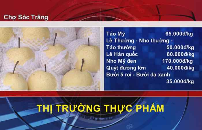 Thông tin Dịch vụ Thị trường (21-02-2022)