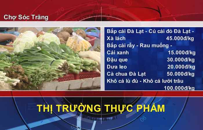 Thông tin Dịch vụ, Thị trường (21-03-2022)