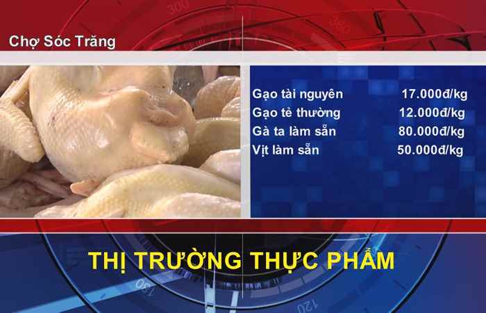 Thông tin Dịch vụ, Thị trường (23-03-2022)