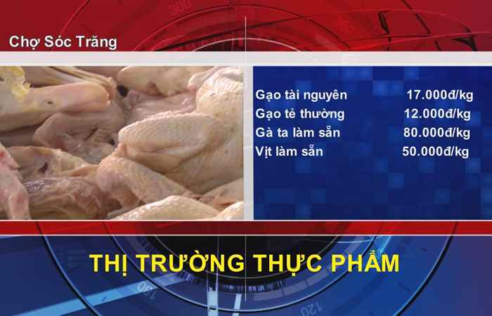 Thông tin Dịch vụ, Thị trường (25-03-2022)