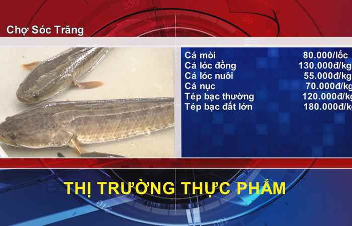 Thông tin Dịch vụ, Thị trường (26-02-2022)