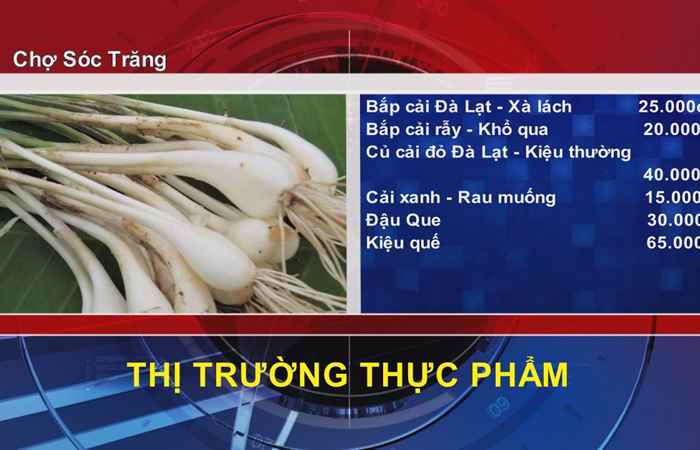 Thông tin Dịch vụ Thị trường (27-01-2022)