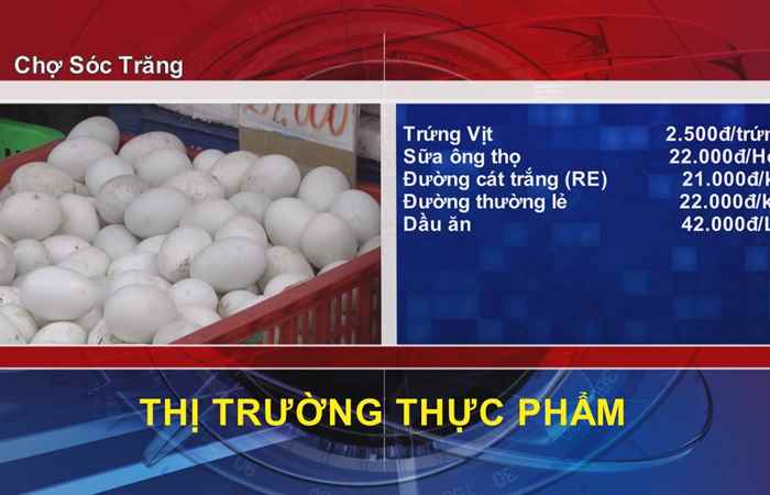 Thông tin Dịch vụ, Thị trường (31-03-2022)