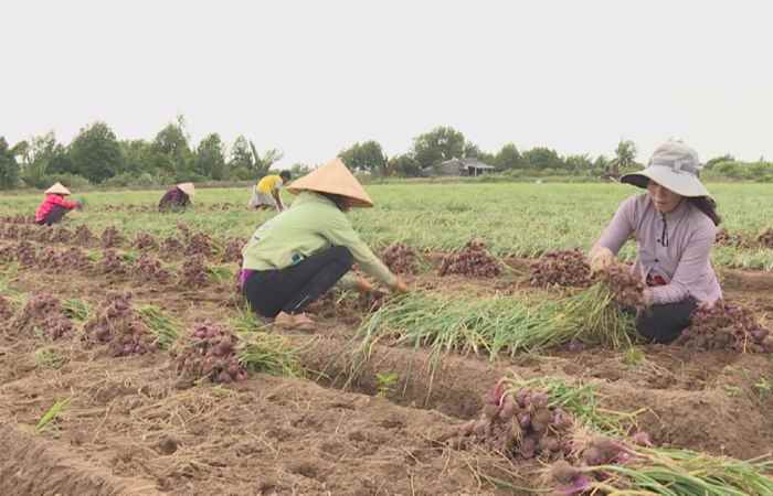 Thông tin đối ngoại (15-02-2021)