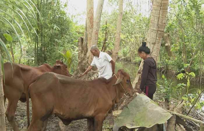  Nhiều hoạt động thúc đẩy bình đẳng giới trong vùng đồng bào dân tộc tại tỉnh Sóc Trăng (23-12-2023)