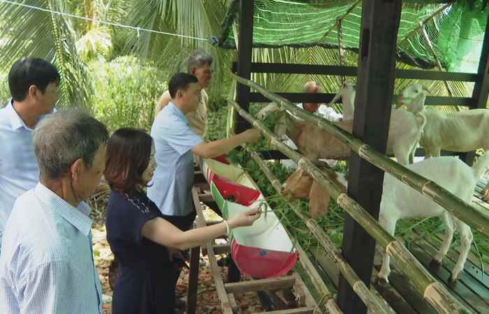 Vĩnh Châu: Xây dựng mô hình kinh tế tuần hoàn theo chuỗi giá trị cho đồng bào dân tộc thiểu số  (13-11-2023)