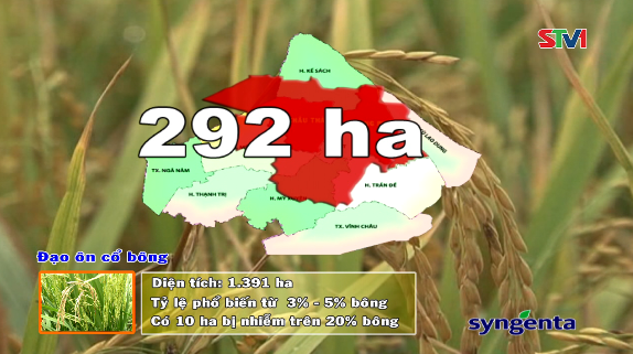 Thông tin dịch hại Nông nghiệp 31-08-2016