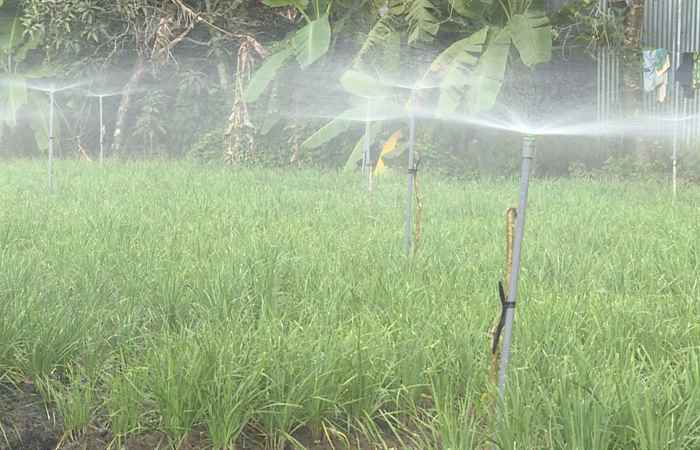 Tích hợp tưới nước, bón phân, phun thuốc cho cây màu qua sim điện thoại 
