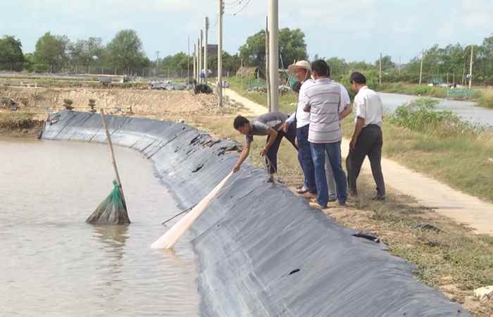 Tiềm năng phát triển nghề nuôi cá nước lợ tại Sóc Trăng