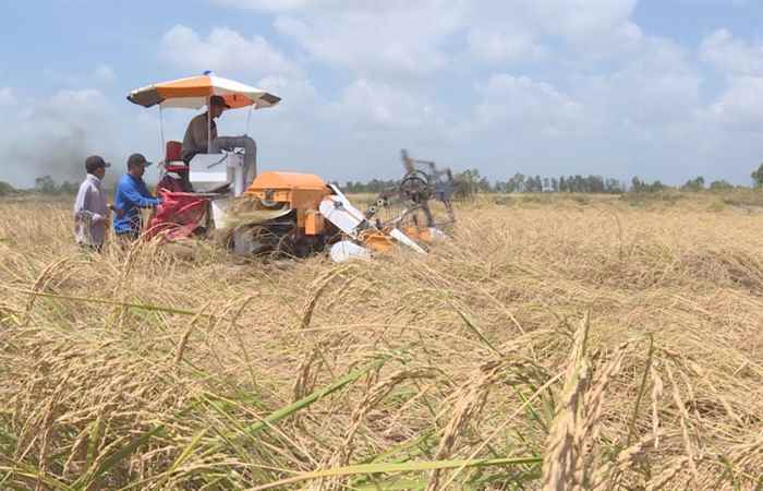 Tiến tới Đại hội Đảng (04-05-2020)