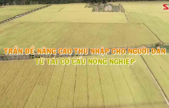 Tiến tới Đại hội Đảng 21-03-2020