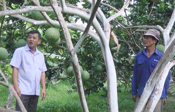 Tiến tới Đại hội Đảng (21-09-2020)