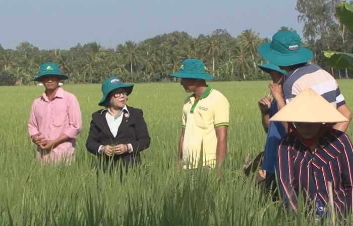 Tiến tới kiến thức vàng 01-03-2019