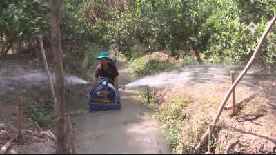 Tiến tới kiến thức vàng 01-04-2016