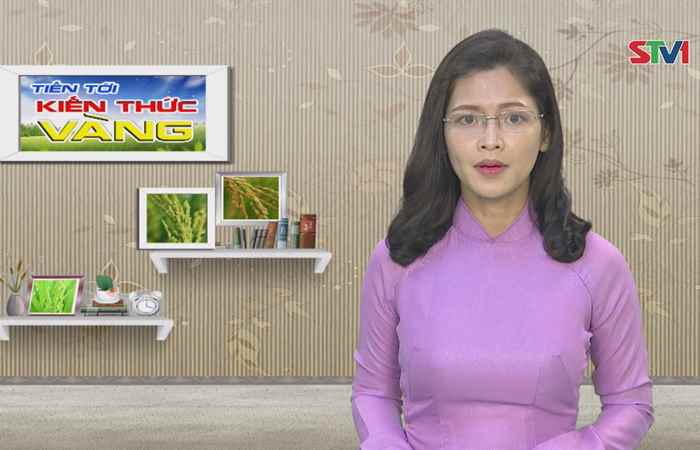Tiến tới kiến thức vàng 01-07-2018