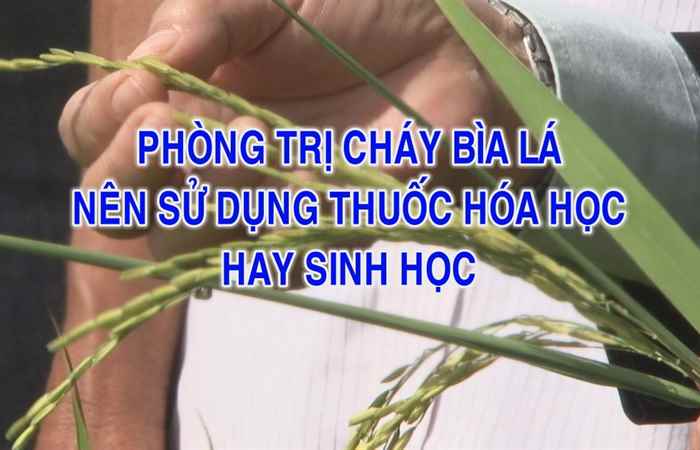 Tiến tới kiến thức vàng 01-09-2017