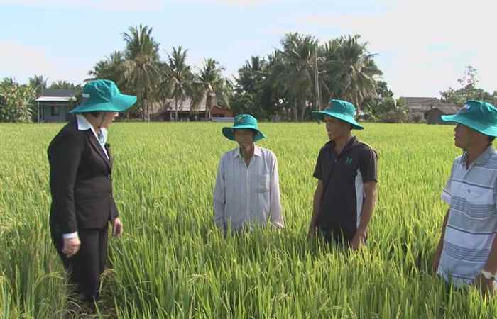 Tiến tới kiến thức vàng 02-02-2018