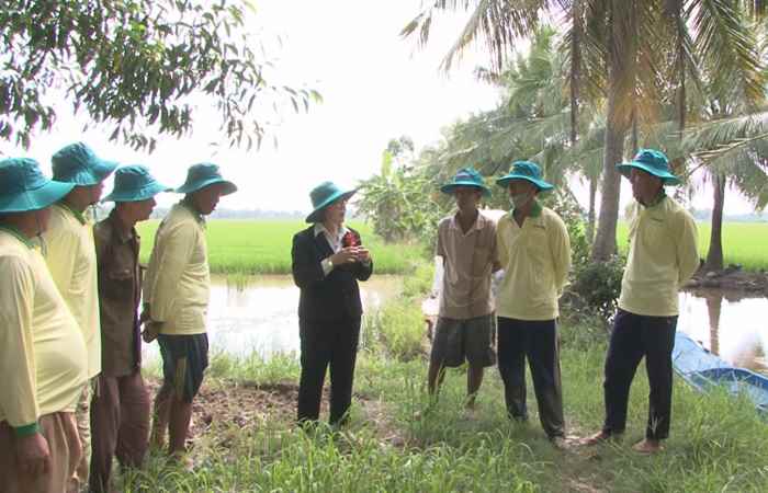 Tiến tới kiến thức vàng 02-11-2018