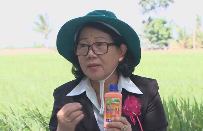 Tiến tới kiến thức vàng 03-08-2018