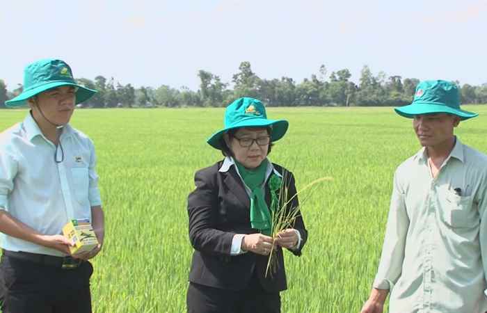 Tiến tới kiến thức vàng 05-05-2017