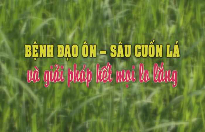 Tiến tới kiến thức vàng 06-07-2018
