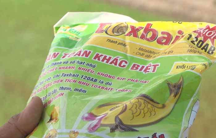 Tiến tới kiến thức vàng 07-06-2019