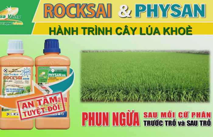 Tiến tới kiến thức vàng 07-12-2018
