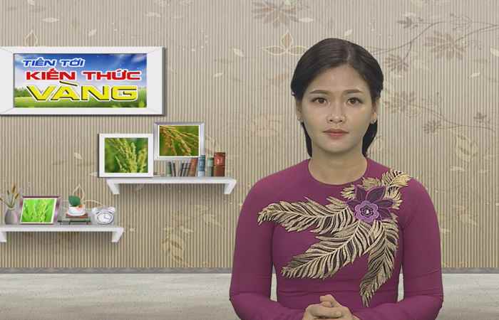 Tiến tới kiến thức vàng 15-03-2019