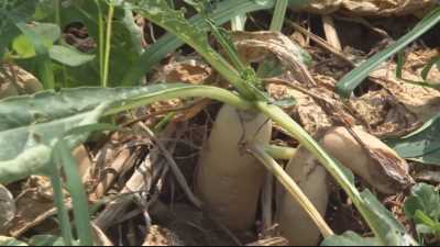 Tiến tới kiến thức vàng 15-04-2016