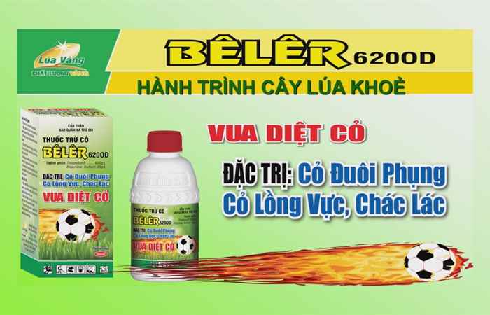 Tiến tới kiến thức vàng 15-06-2018