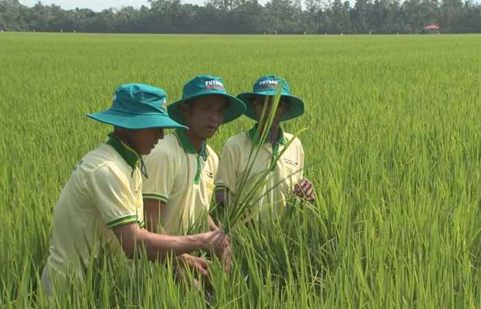 Tiến tới kiến thức vàng 16-02-2018