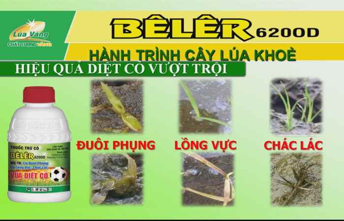 Tiến tới kiến thức vàng 16-06-2017