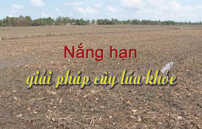 Tiến tới kiến thức vàng 19-04-2019