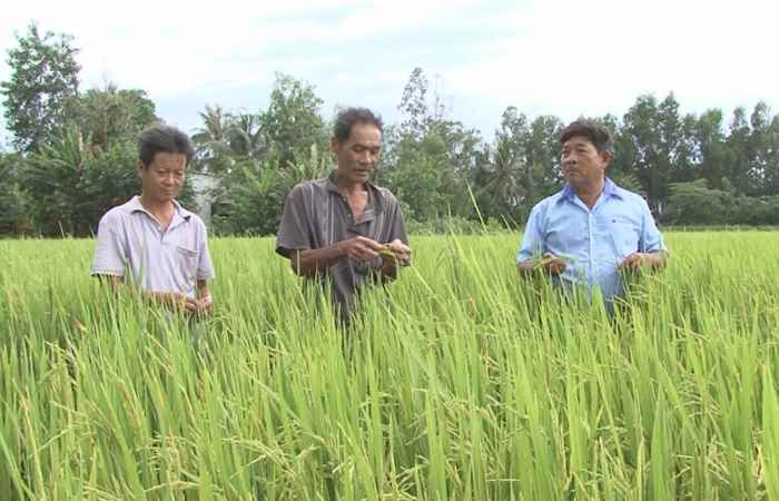 Tiến tới kiến thức vàng (19-07-2019)
